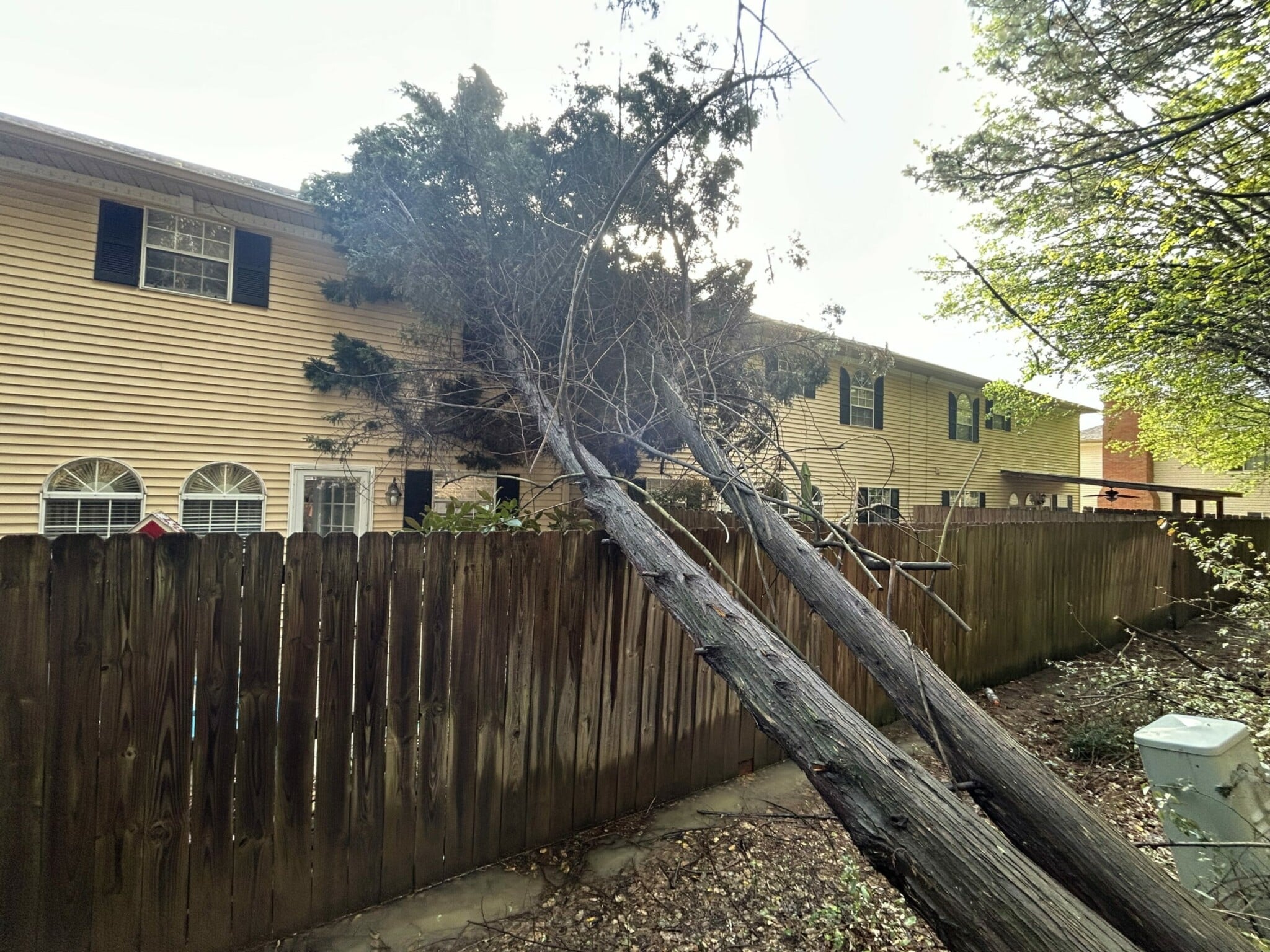 SRANDE fallen tree storm damage